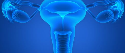 Is the presence of endometriosis associated with a survival benefit in pure ovarian clear cell carcinoma?
