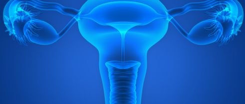 Is the presence of endometriosis associated with a survival benefit in pure ovarian clear cell carcinoma?