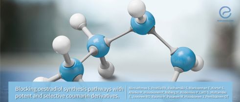 Coumarin based compounds found to inhibit the estradiol synthesis pathway