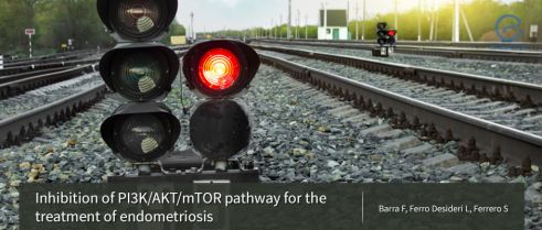 Inhibition of PI3K/AKT/mTOR pathway for the treatment of endometriosis.