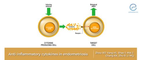 Anti-inflammatory cytokines: a new horizon in endometriosis with possible clinical relevance