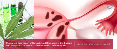 New findings in adenomyosis (endometriosis interna) patients with potential theraupetic research implications