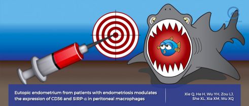 Could a defect in phagocytosis cause endometriosis?