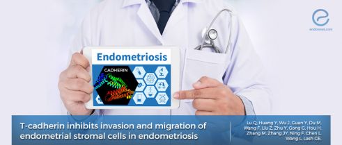 Does T-cadherin have a role in endometriosis?