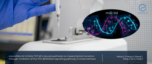 Role of miR-141 in endometriosis 