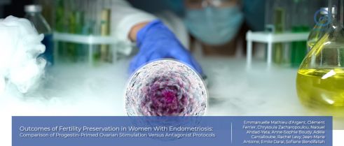Fertility preservation protocols in women with endometriosis