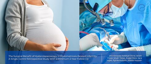 Hysterolaparoscopy Plus Assisted Reproduction Improves Fertility in Women with Endometriosis