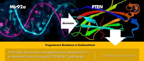 miR-92a and progesterone resistance in endometriosis