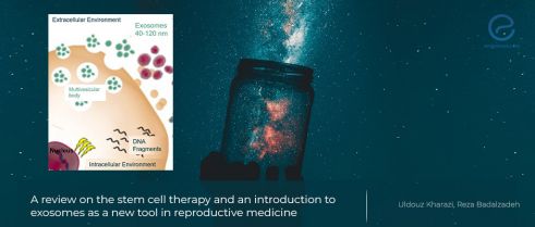 Stem cell and exosome therapy