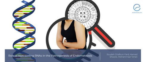 Non-coding RNAs and Endometriosis