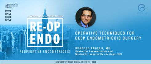 Operative techniques for Deep Endometriosis Surgery - Shaheen Khazali, MD