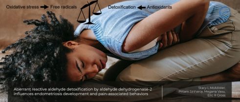 Oxidative stress, reactive products, detoxification, endometriosis and pain  
