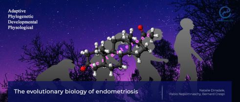 Endometriosis from the 