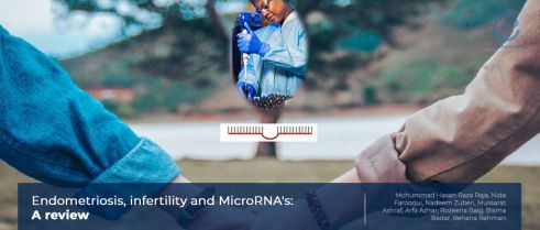 MicroRNAs in the pathogenesis of endometriosis and infertility