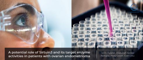 “Sirtuin-3” as a novel target in endometriosis pathogenesis