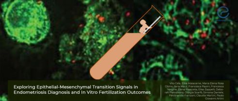 The Epithelial–Mesenchymal Transition and IVF success