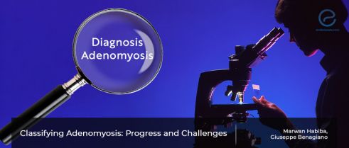 A novel approach to a common lesion: mapping adenomyosis by imaging modalities
