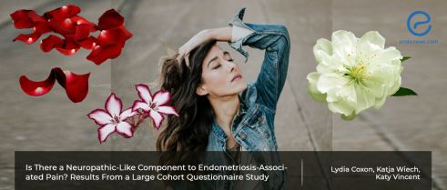 A revolutionary view on endometriosis related pain