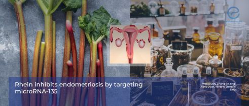 Rhein usage in endometriosis: A potential new therapeutic agent