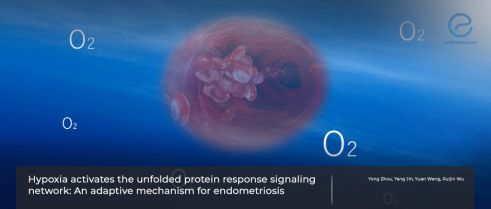 Hypoxia and endometriosis: A review of mechanisms