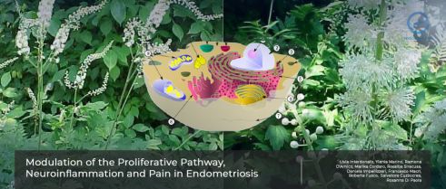 The Molecular Mechanisms of how herbal medicine Actaea racemosa modulates Endometriosis Progression 