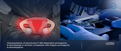 The Endometrium Speaks: Inflammatory Clues to Peritoneal Endometriosis