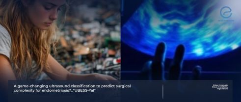 From Probe to Procedure: UBESS Enhances Preoperative Planning