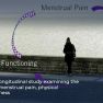 Menstrual Pain and Loneliness: The Mediating Role of Physical Functioning 