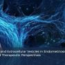 Endometriosis Immunopathology: The Macrophage Connection
