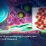 Menstrual Blood–Derived Stem Cells and Diagnostic Advances