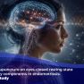Brain Rhythms and Neurophysiology of Endometriosis Pain