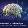 Beyond Pain: The Neuroendocrine–Immune Axis in Endometriosis