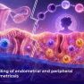 Novel immune cell alterations in the endometrium of women with endometriosis