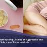 Plant Sterol Against Endometriosis