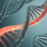 Genetic Variations May Link Risk of Endometriosis and Ovarian Cancer 