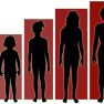 Body size, adult height and endometriosis