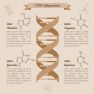 DNA methylation changes in endometrium during the transition from pre-receptive to receptive phase