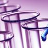Arcyriaflavin A Decreases Endometriosis Cell Viability and Proliferation