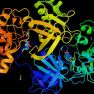 Mitogen-Activated Protein Kinase p38 modulates Inflammation in Endometriosis 