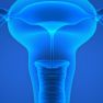 Is the presence of endometriosis associated with a survival benefit in pure ovarian clear cell carcinoma?