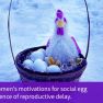 Reproductive delay and social egg freezing