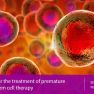 Stem cell therapy for the premature ovarian failure 