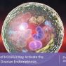 HOXA10: A Culprit in Endometriosis Disease Progression