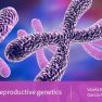 Extending the Female Fertility Clock