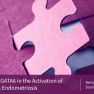 Role of GATA6 in Endometriosis