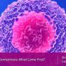 Altered Immunity in Endometriosis