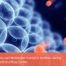 Oxidative Stress and Endometriosis
