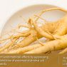 Therapeutic potential of ginseng based compound in preclinical models of endometriosis 