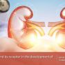 Kidney Hormone Potential Treatment for Endometriosis?