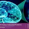 A novel neurotransmitter, Ninj1, has been found to be expressed in endometriosis